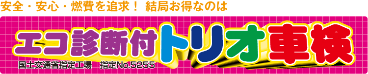 エコ診断付トリオ車検